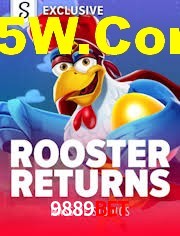 Crash Games Statistics 9889Bet